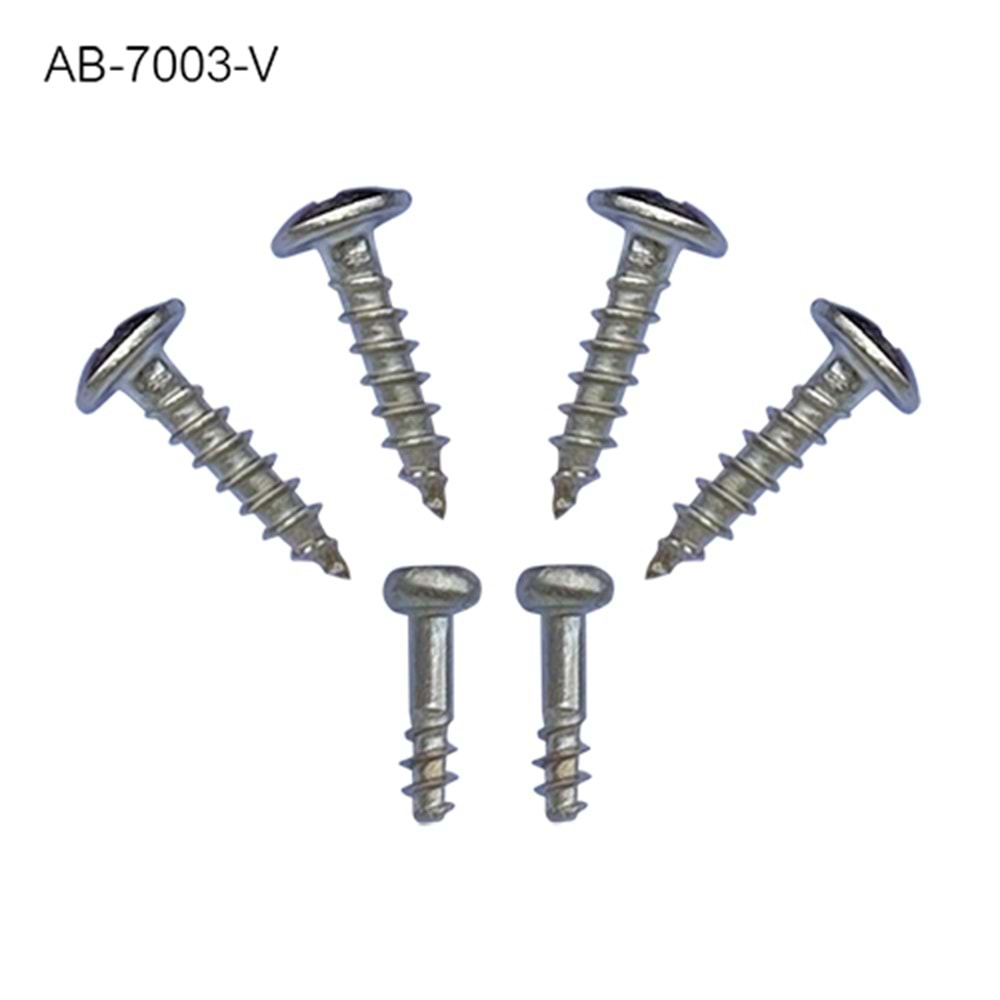 AB-7003 için vidalar